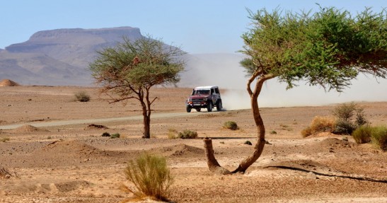 RMF Marocco Challenge